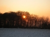 DSCN9596