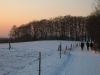 DSCN9598