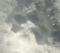 DSCN9678