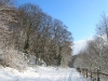 DSCN9682