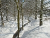 DSCN9684