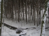 DSCN9690