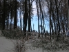 DSCN9691