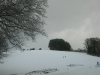 DSCN9693