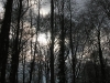 DSCN9697