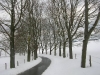 DSCN9728