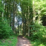 Wandern in Hebborn