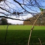 Wandern: Durch die Hardt bis Breite
