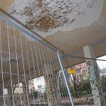 NCG: “Die Zahlen sind klar, ein Umzug ist nicht möglich”