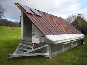 Glücklich dank gelegentlichem Ortswechsel: ein "Wohnmobil" für Hühner.