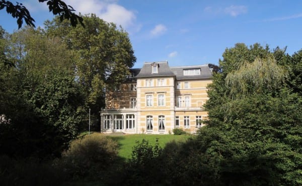 Die Platane vor der Villa Zanders