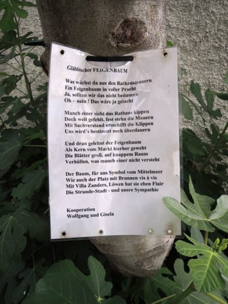 Für die Großansicht klicken