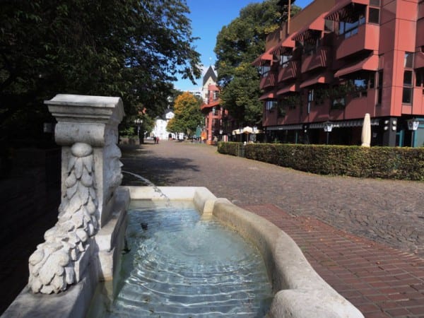 Löwenbrunnen und Bergischer Löwe mit grünem Baumschmuck