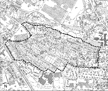 Geltungsbereich der Baumschutzsatzung
