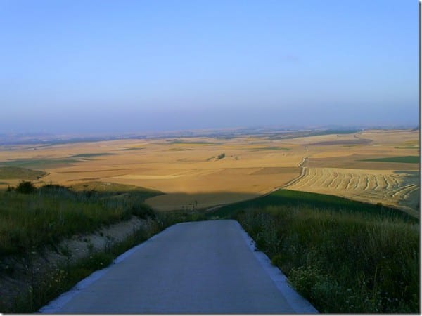 Den Weg vor Augen. (Foto: Denis Wester)