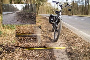 So viel Platz könnte sein, wenn der Weg gereinigt werden würde. Foto: Mike Gürgens