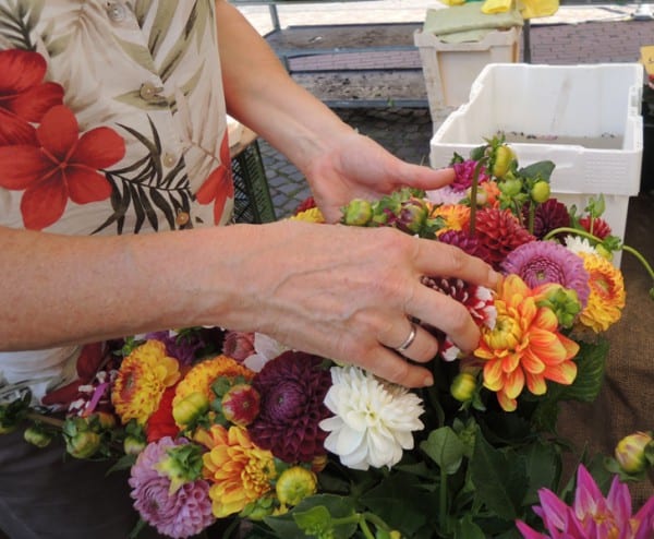 3 DSCN9210.JPG bea.JPG 600