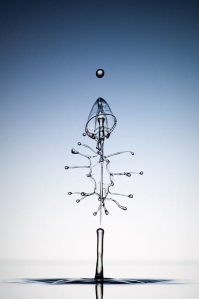 TAT-CO-V-HS-D90-TUTELUM-0001-1112