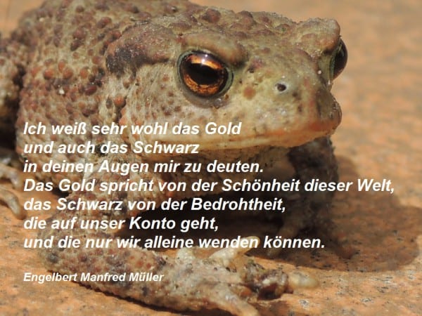 12 Erdkröte mit Gedicht 2