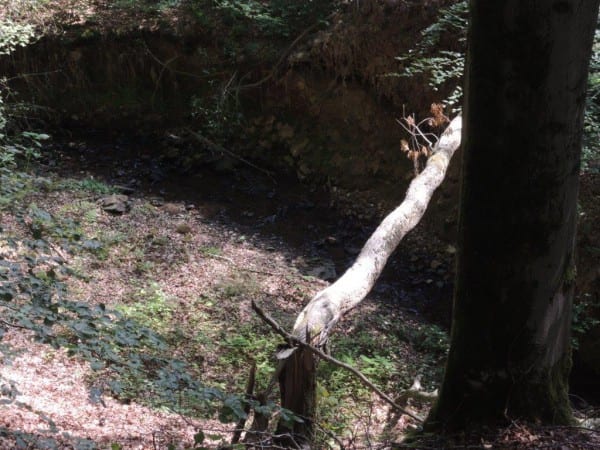 16 Schlucht Kotzbach