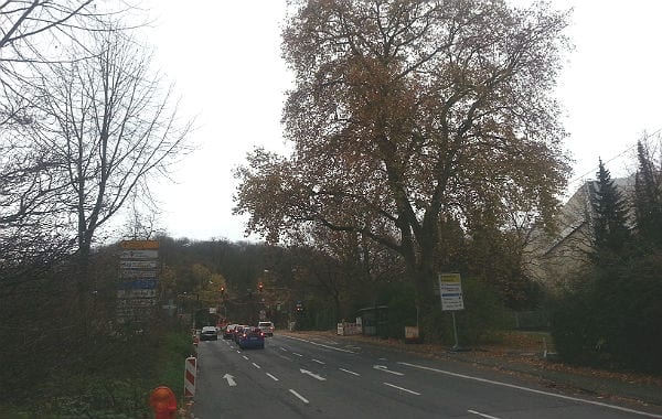 Baustelle Schnabelsmuehle Platane 600