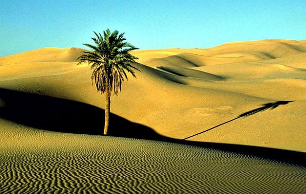 Die libysche Wüste. Foto: Victor Kornijenko/Wikimedia