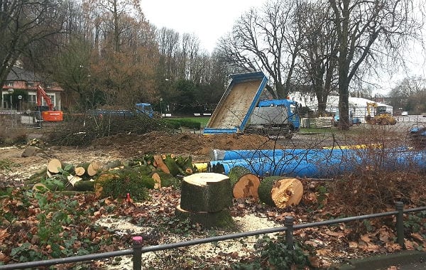 Am Eingang zum Forumpark vor der Bücherei wurden weitere Bäume gefällt