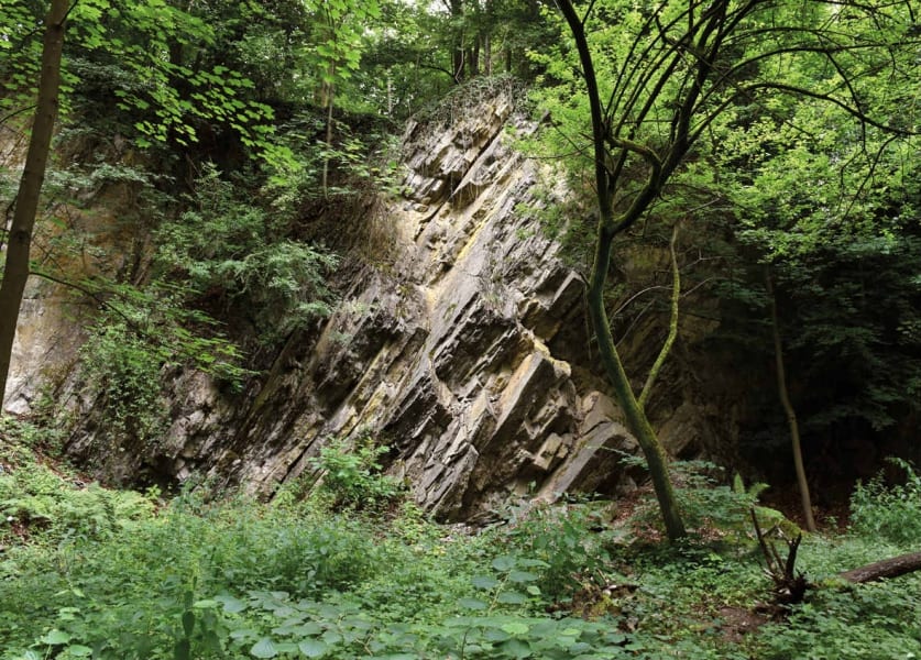 Im neuen Teil des privaten Friedhofs von Pütz-Roth in Bergisch Gladbach befindet sich auch ein alter Steinbruch. Hier sind gemeinsame Bestattungen von Mensch und Tier möglich