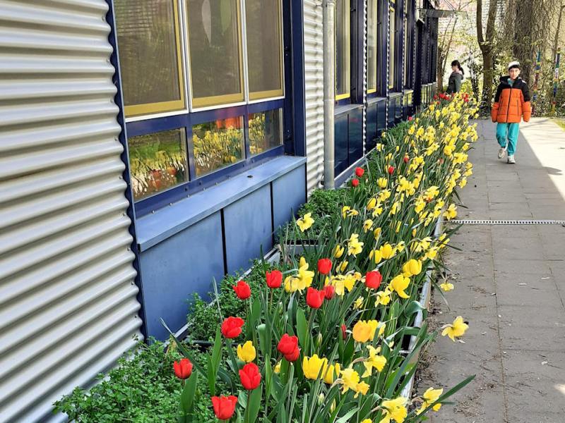 Kinder sehen jetzt, was sie im Herbst in die Erde gesteckt haben