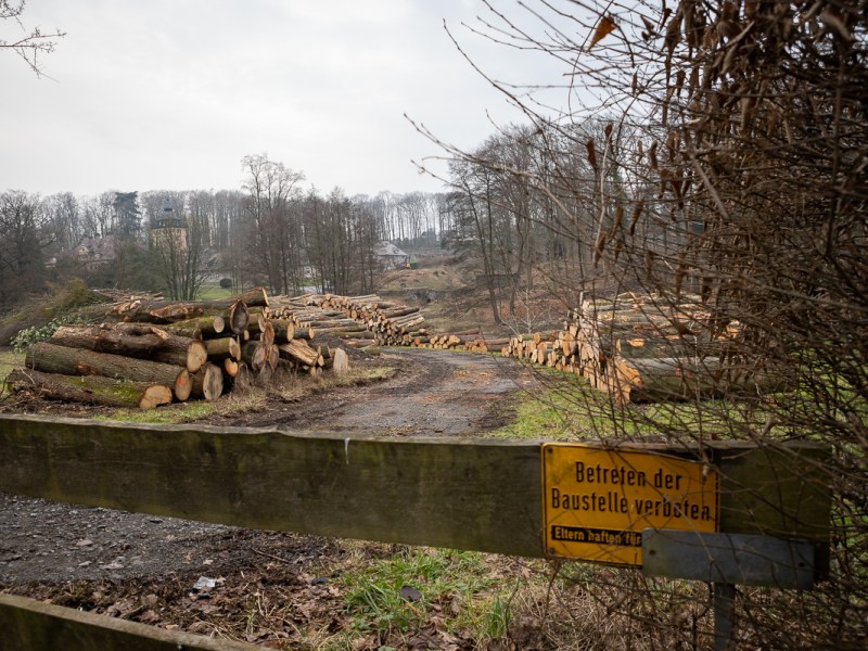 Lerbacher Wald: Kreis widerspricht Kritik am „Kahlschlag“