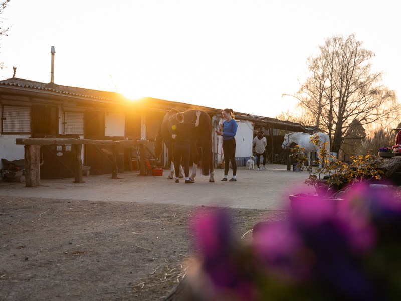Drei Texte bis Weihnachten