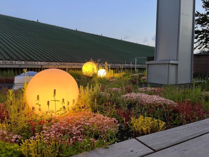 Viel Grün bei Blau-Weiß Hand