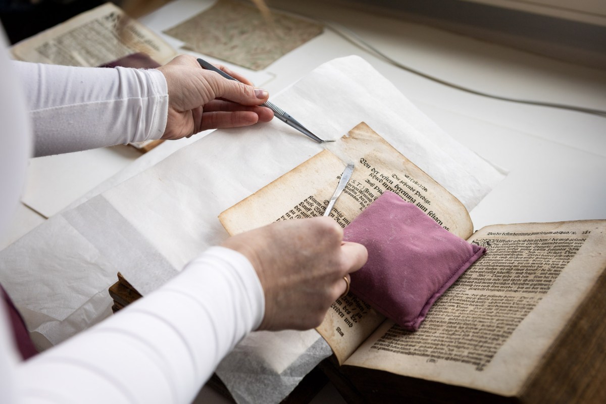 Künstlerinnen der Feinfühligkeit