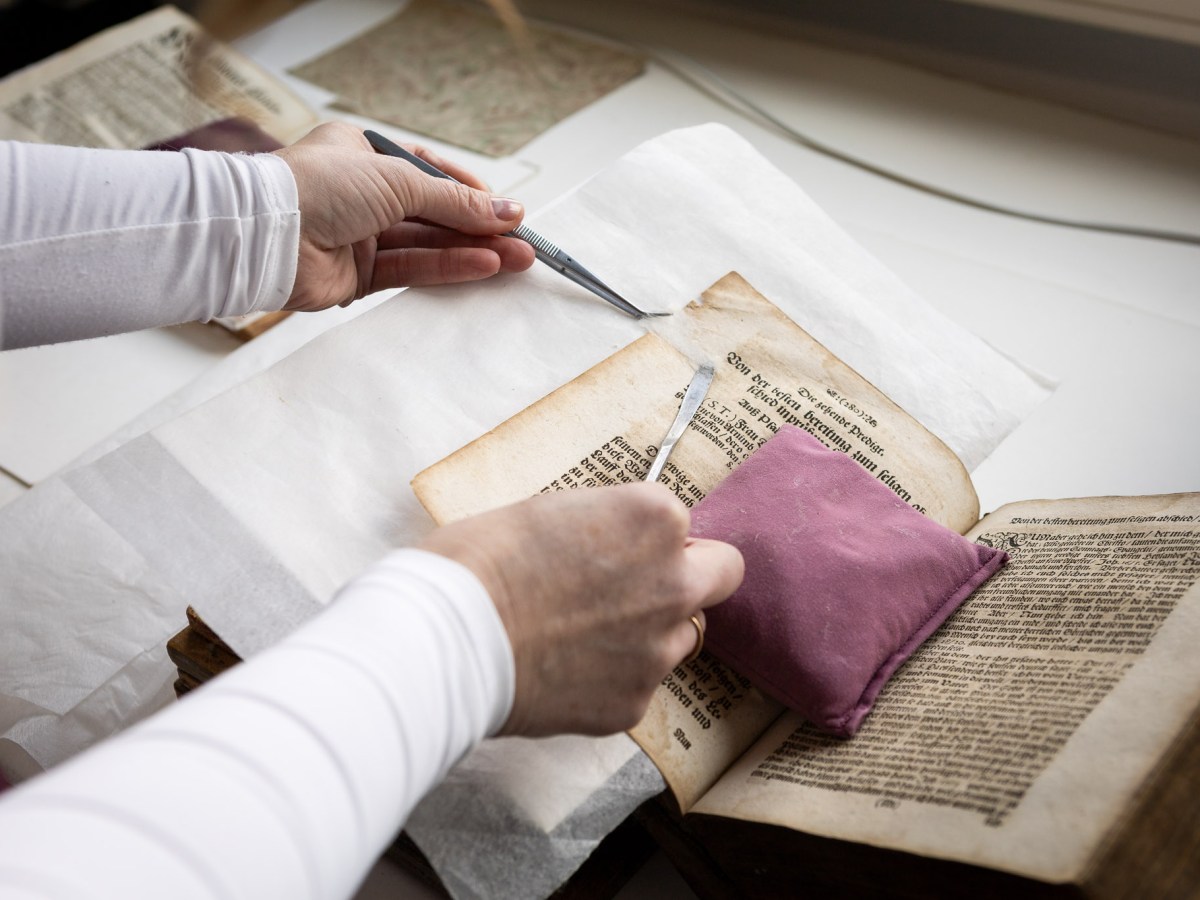 Künstlerinnen der Feinfühligkeit