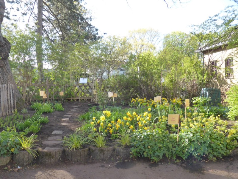 Kinder lassen Lehrergarten am Schulmuseum neu erblühen