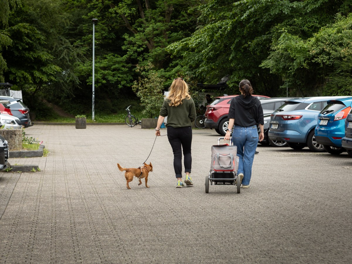 Streetwork: „Sie sind die Einzigen, die sich für uns interessieren“