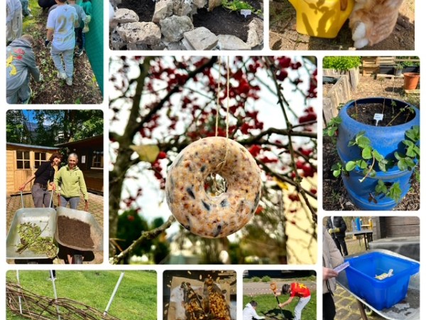 Gemeinsam wachsen: Garten AG bringt Integration zum Blühen