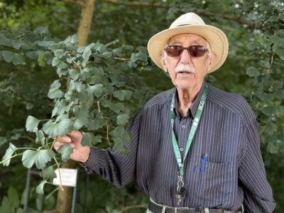 Ein Ginkgo steht für die Verbundenheit von Gartenbauverein und Refrather Schützen