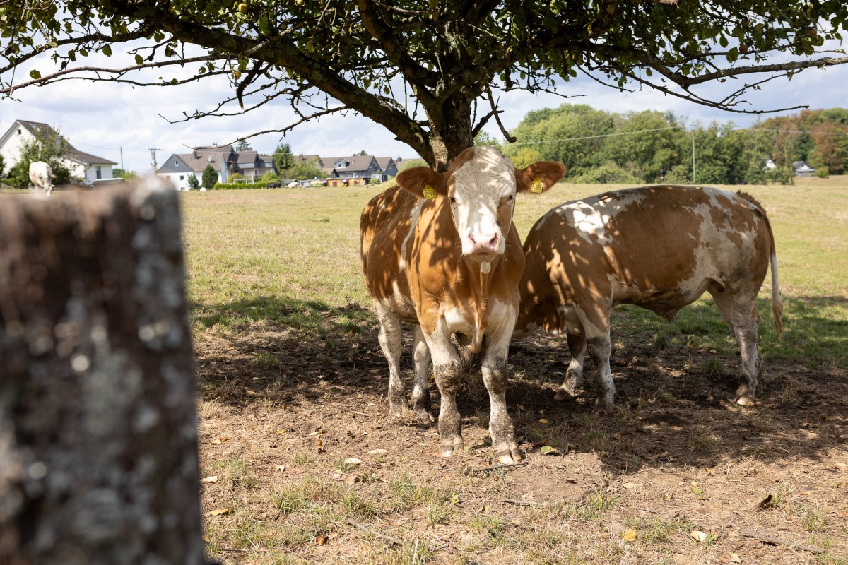 „Wir Landwirte sind dem Wetter ausgeliefert“